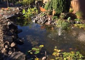 New Water feature New Water feature