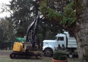 Excavation work on a water catchment system